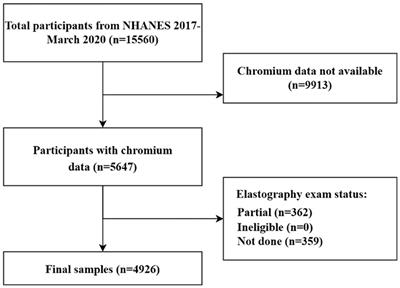 Association between blood chromium and hepatic steatosis assessed by liver ultrasound transient elastography: National Health and Nutrition Examination Survey 2017–2020